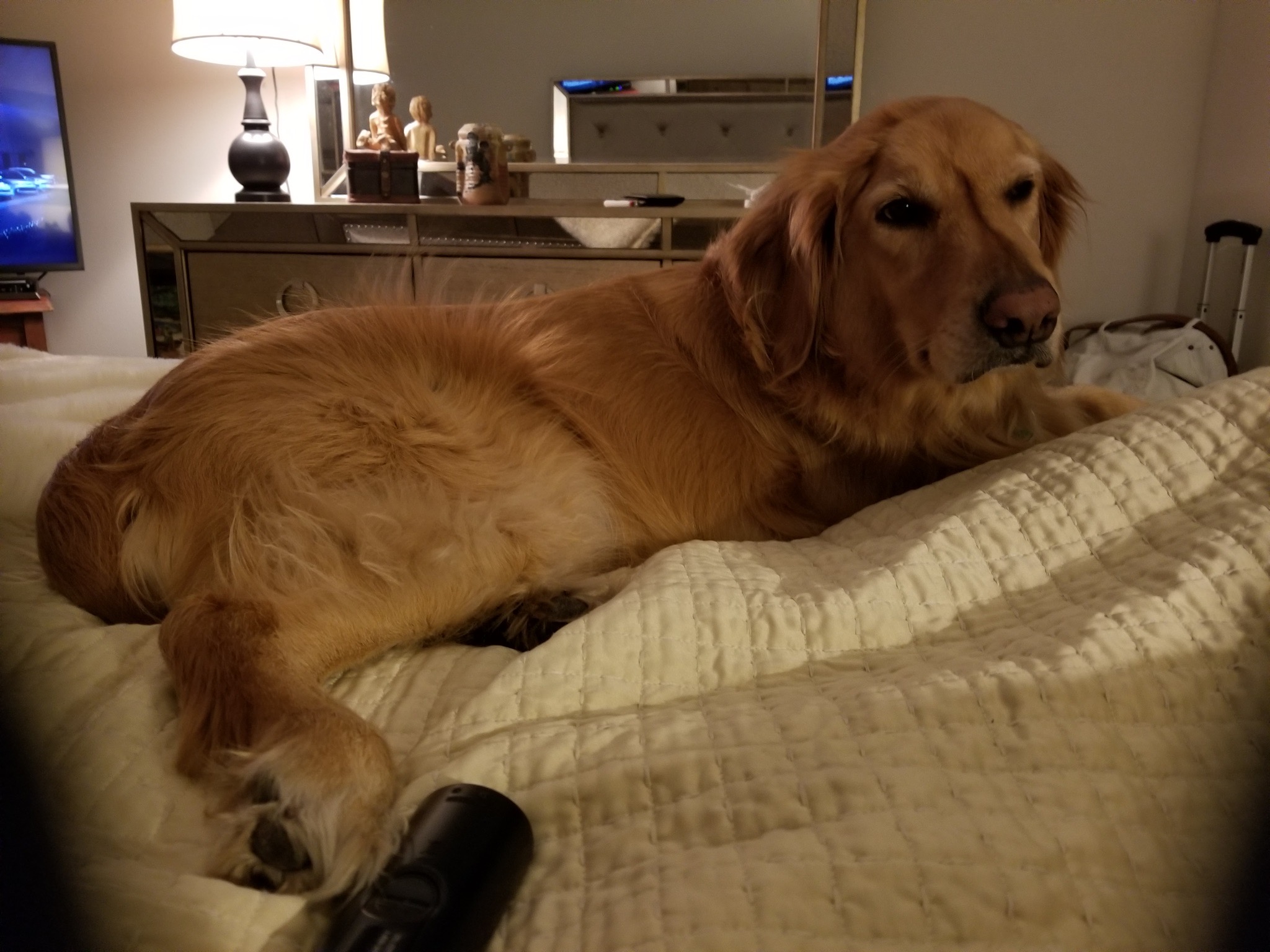 Louie memory